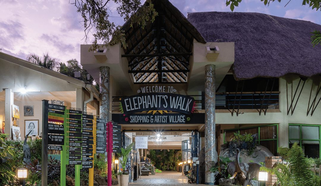 Elephants WalkWhere Zimbabwe’s Creative Spirit Comes Alive