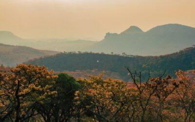 Escape to the Eastern Highlands for the Ultimate Marathon & Music Festival Experience