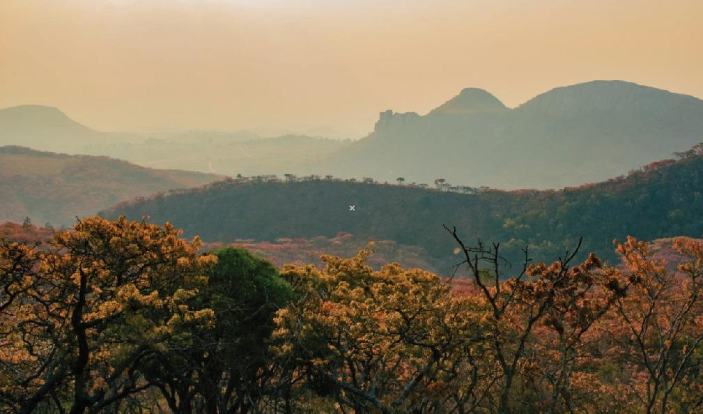 Escape to the Eastern Highlands  for the Ultimate Marathon &  Music Festival Experience